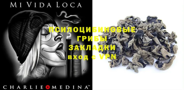 соль ск Горнозаводск