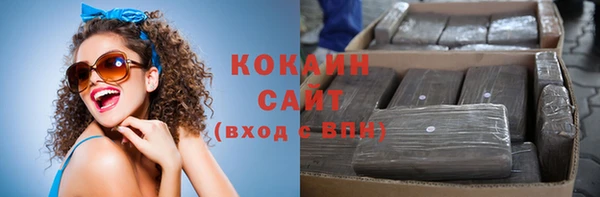 соль ск Горнозаводск
