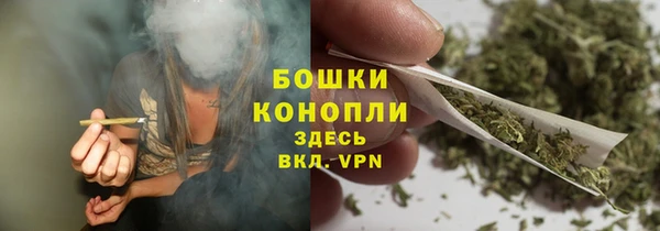 соль ск Горнозаводск