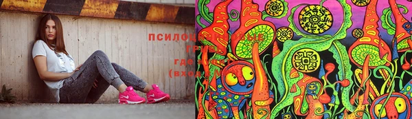 соль ск Горнозаводск