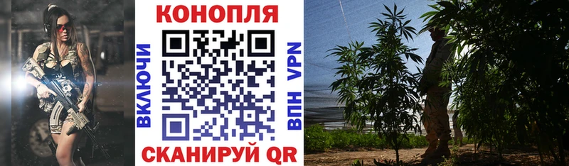 где можно купить наркотик  Калуга  Канабис Bruce Banner 